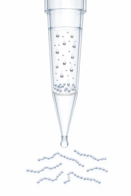Peptides desalted on a solid-phase extraction tip
