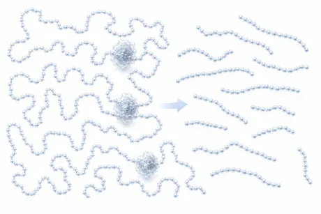 A protein strand cut into peptides
