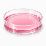A cell-culture plate